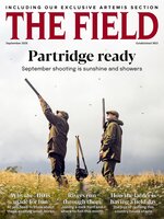 The Field